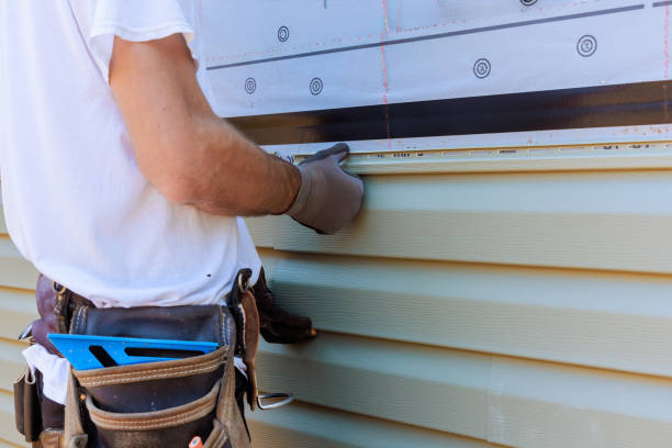 Best Siding for Commercial Buildings  in Schererville, IN